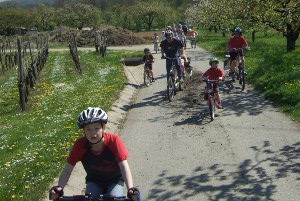Auf der Fahrt